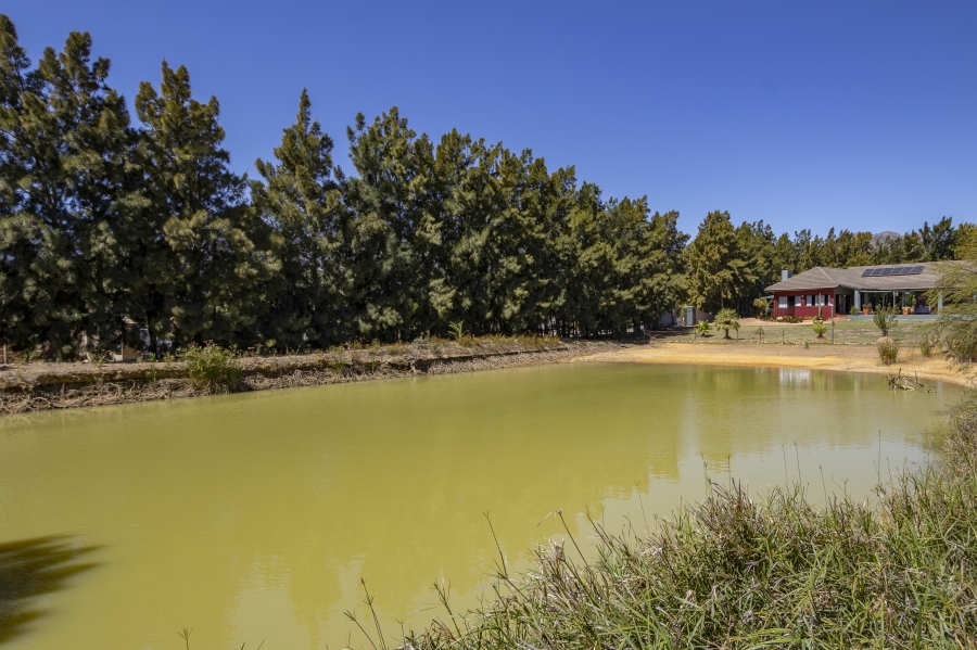 4 Bedroom Property for Sale in Firlands Western Cape